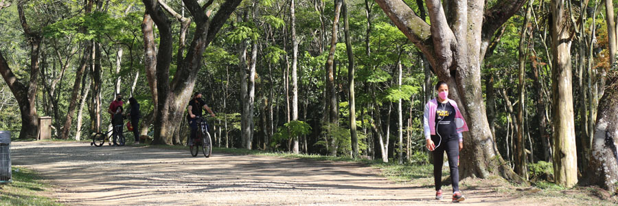 São Carlos Clube Trilha da caminhada - São Paulo, Brasil