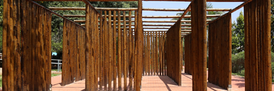 Vários troncos de árvores marrons dão um formato arquitetônico ao Parque Raul Seixas