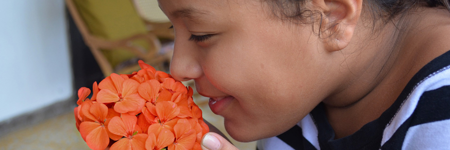 O rosto de uma criança observa e cheira uma flor laranja