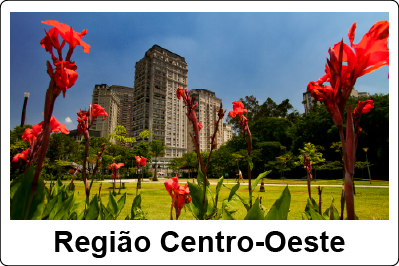 Imagem de um parque com flores vermelhas a frente e predio ao fundo