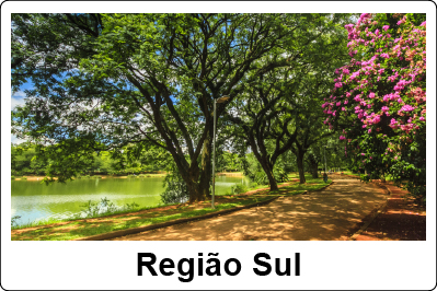 Imagem do Parqie com lago ao fundo e a direita  com uma árvore bem verde com flores cor de rosa