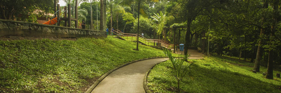 No Parque Lajeado vemos do lado direito, muitas árvores e um parquinho de diversão; no meio uma pista de caminhada cercada de árvores
