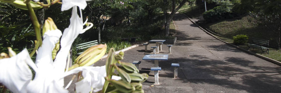 Flores brancas no lado esquerdo, duas mesas e um banco de madeira e no centro um caminho cercado de árvores