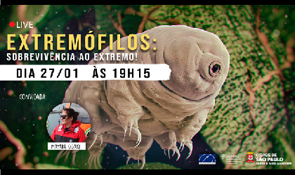 topo