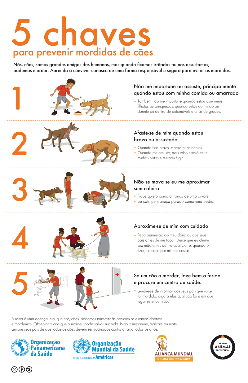 #PraCegoVer: Imagem com cores de fundo branco e laranja, na sequência contém cinco passos de como prevenir mordidas de cães.