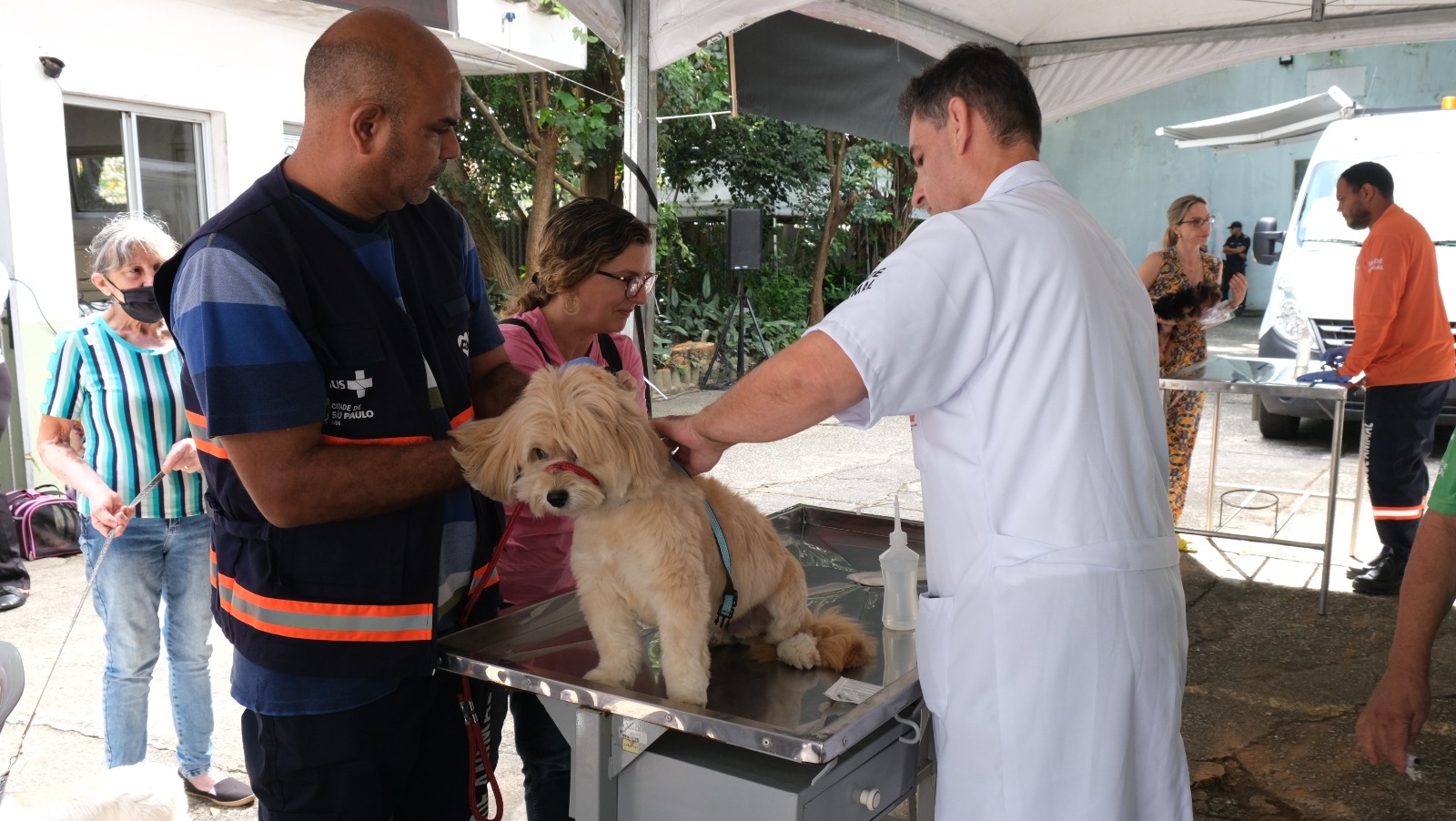 Foto mostra cão da raça lhasa apso sentado sobre uma maca sendo atendido por dois homens, um deles usando um jaleco branco 