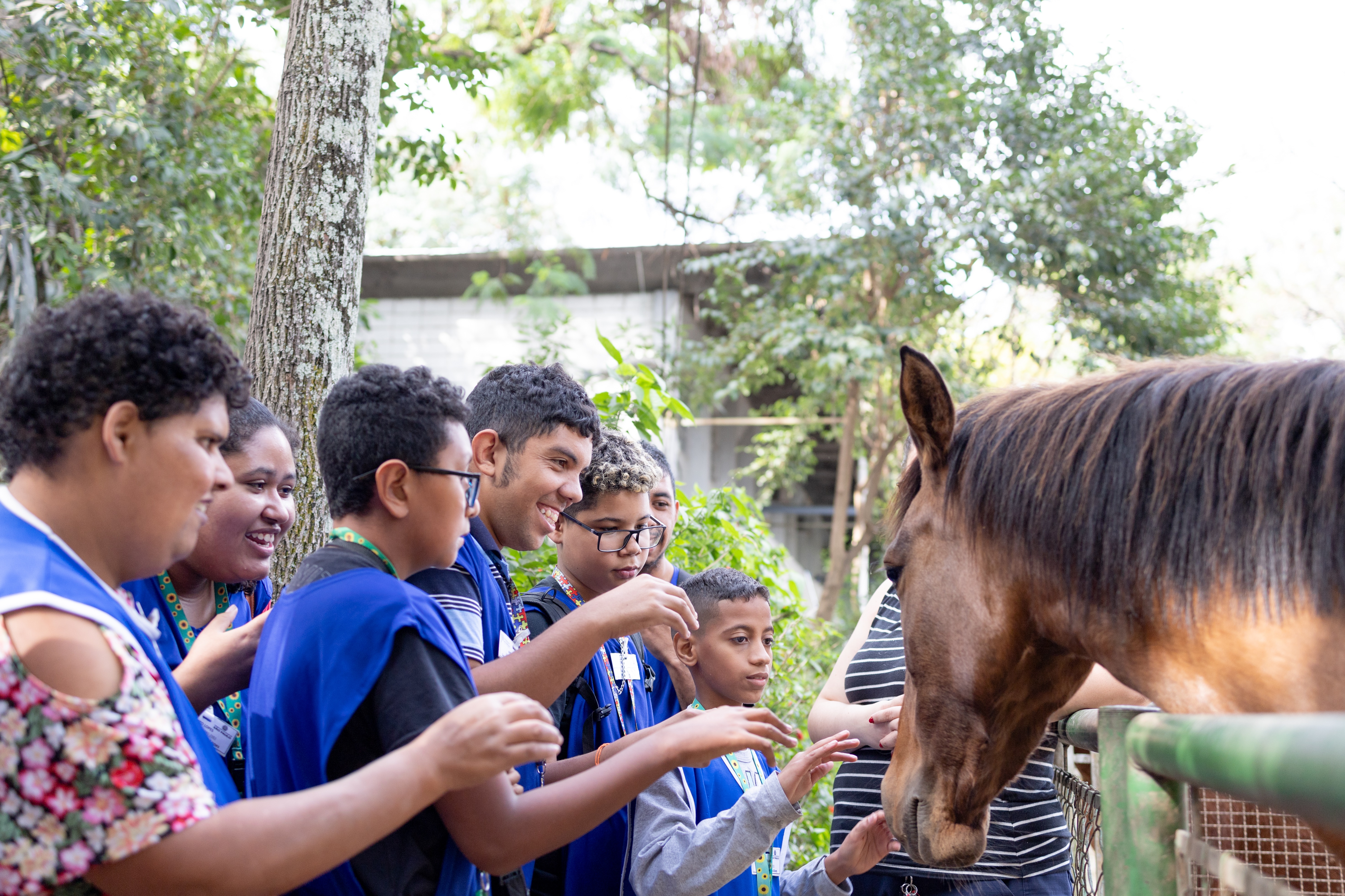 A foto mostra um grupo de adolescentes em frente a um cavalo; eles vestem um colete azul e estão com as mãos estendidas para fazer carinho na cabeça do animal