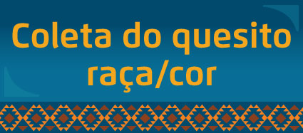 Arte possui fundo azul e detalhe étnico no rodapé. No centro, em letras amarelas, está escrito Coleta do quesito raça/cor