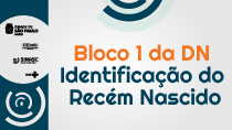 #PraCegoVer Bloco 1 da DN Identificação do Recém Nascido