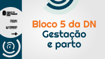 #PraCegoVer Bloco 5 da DN Gestação e parto