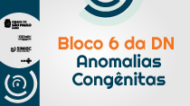 #PraCegoVer Bloco 6 da DN Anomalias Congênitas