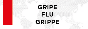 Arte possui fundo claro com ilustração em marca d'água do mapa mundi. Em letras pretas se lê: Gripe / Flu / Grippe