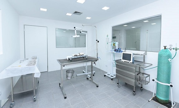 No centro cirúrgico há uma mesa pra procedimentos no meio. Na lateral esquerda há um mesa com as ferramentas utilizadas. Do lado direito há um cilindro de oxigênio e uma mesa com um monitor de sinais vitais
