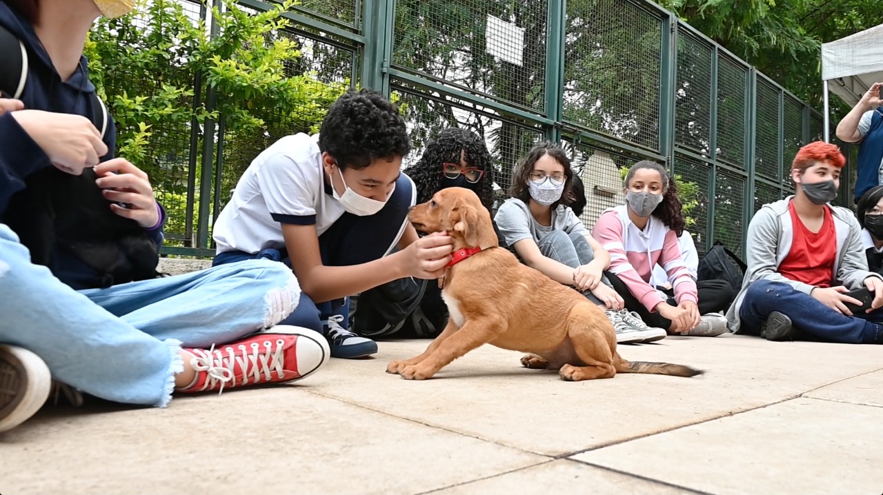 Jogos interativos da Cosap ensinam crianças sobre cuidados com os animais, Secretaria Municipal da Saúde