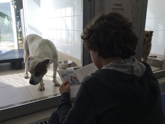 Na foto há uma criança de costas lendo um panfleto, na sua frente há um cachorro de porte pequeno que possui pelo branco com uma mancha marrom no olho.