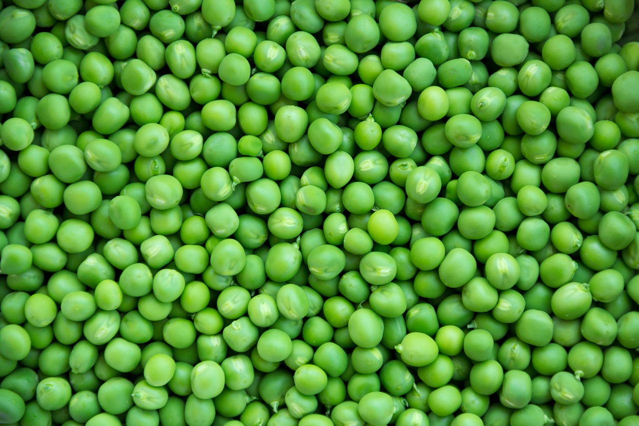 Na imagem, há um punhado de ervilhas verdes juntas.