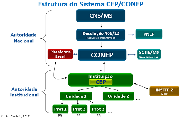 PraCegoVer: a imagem ilustra a estrutura do sistema CEP/Conep. Há duas divisões com as autoridades Nacional e Institucional. A fonte de pesquisa da imagem é Binsfeld, 2017