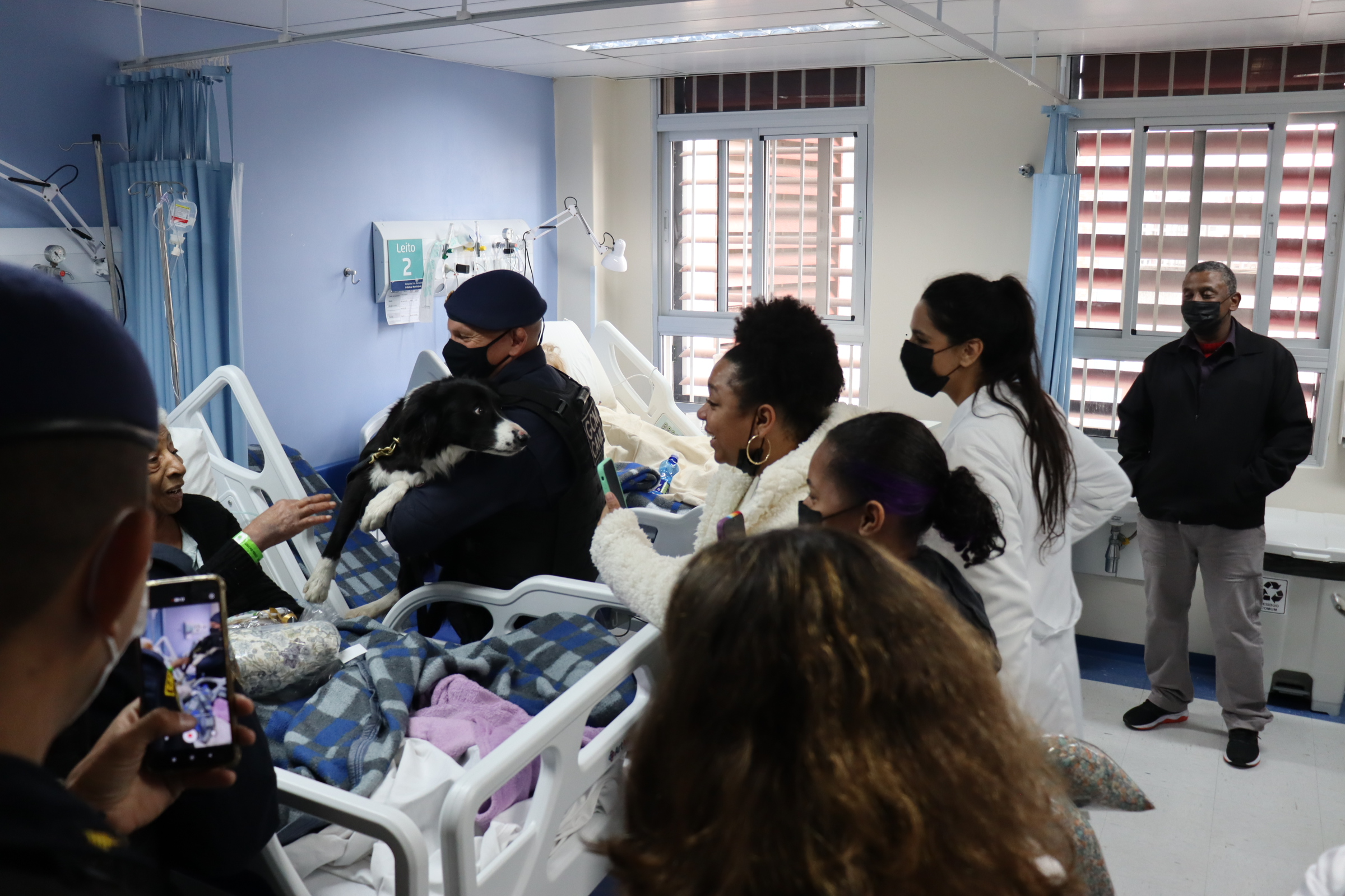 Imagem do quarto de hospital com pacientes, familiares e visitantes interagindo com os cães da cinoterapia