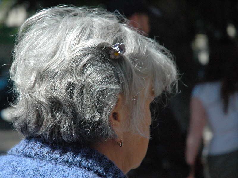 Uma senhora de cabelos curtos grisalhos aparece de costas, não sendo possível ver o seu rosto. Ela usa uma presilha em formato de flor cinza e está de blusa azul
