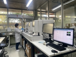 A imagem mostra uma profissional trabalhando no Laboratório Municipal de Saúde Pública Santo Amaro.