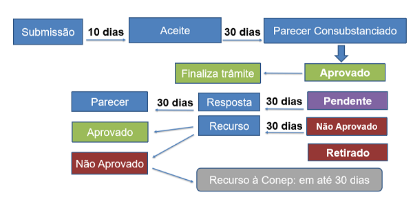 PraCegoVer: ilustra um esquema com os prazos da relatoria ética. Entre submissão e aceite prazo de 10 dias. Entre aceite e parecer consubstanciado, prazo de 30 dias. Há mais prazos. Para informações entre em contato com o CEP.