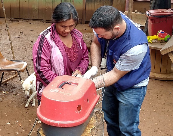 #PraCegoVer: agente especializado e moradora de aldeia indígena colocam um cachorro dentro de uma caixa para transportar