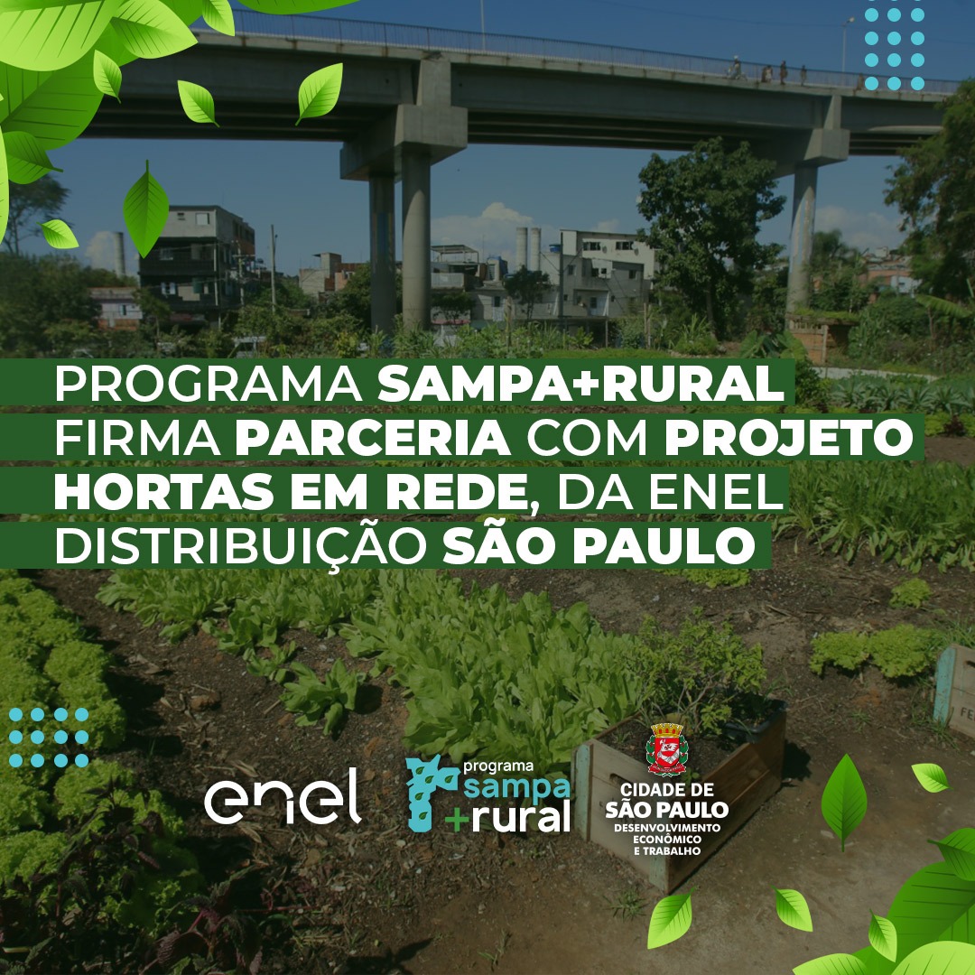 Programa Sampa+Rural firma parceria com projeto Hortas em Rede, da