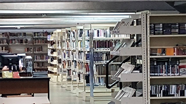 Acervo Biblioteca Alce Amoroso Lima