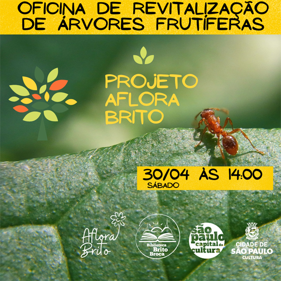 Projeto Aflora Brito: Oficina de revitalização de árvores frutíferas (PRESENCIAL)