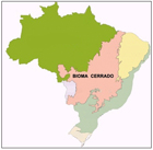 Mapa do Brasil com destaque Bioma Cerrado