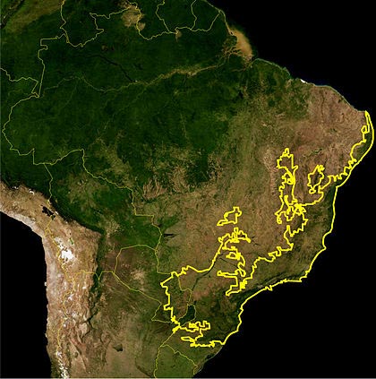 Mapa da ecorregião da Mata Atlântica