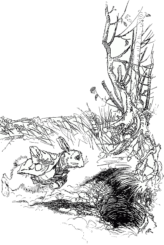 Coelho branco de Alice no País das Maravilhas - Ilustração de Arthur Rackham
