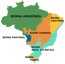 Mapa dos biomas do Brasil