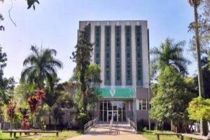 Edificio branco com janelas dispostas em linhas verticais, visto a distancia e emoldurado por arvores e um gramado.