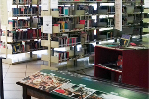 estantes e livros da biblioteca.