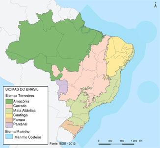 mapa dos biomas do Brasil
