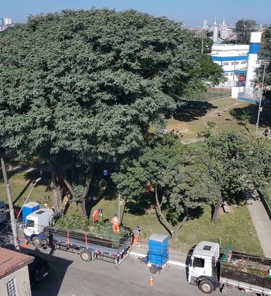Equipes de limpeza urbana realizam serviços de poda e manutenção de área verde durante a Operação São Paulo Limpa. Na imagem, trabalhadores atuam ao lado de caminhões estacionados na via, recolhendo galhos e resíduos de poda em um espaço arborizado da região.
