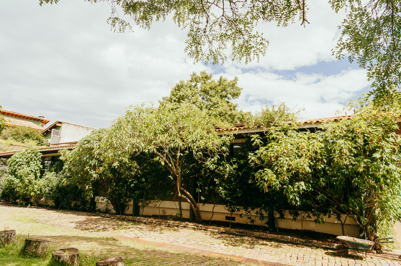 A imagem mostra uma área externa com bastante vegetação. Em primeiro plano, há um caminho de pedras irregulares, em tons de cinza e marrom, cercado por gramado esverdeado com algumas falhas. Do lado esquerdo, há vários tocos de árvore cortados, usados como bancos rústicos. No canto direito da imagem, uma carriola metálica com marcas de ferrugem está encostada na calçada, ao lado de uma pequena canaleta de drenagem.  Ao fundo, há um prédio de um único andar com telhado de telhas cerâmicas em tom laranja-avermelhado. As paredes são claras, provavelmente bege ou branco, mas grande parte da fachada está coberta por plantas trepadeiras e arbustos de folhagem densa e verde-escura. Algumas árvores de pequeno e médio porte também aparecem em frente ao prédio, suas copas misturando-se com a vegetação ao redor. No alto da imagem, o céu está parcialmente nublado, com uma mistura de nuvens brancas e áreas de céu azul. Os galhos de uma árvore aparecem no topo do quadro, criando uma moldura natural na parte superior da foto. A iluminação indica que a imagem foi captada em um dia ensolarado, provavelmente no final da manhã ou início da tarde.