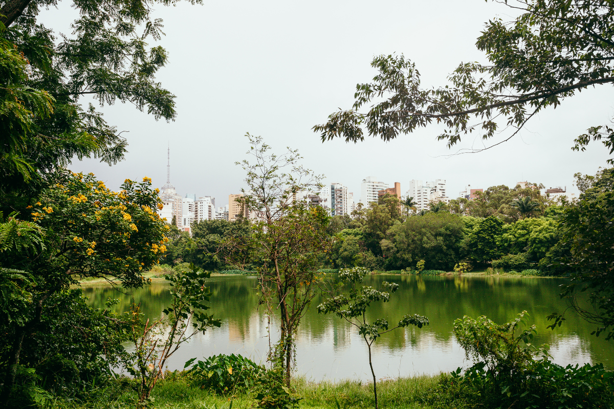 A imagem mostra uma paisagem urbana integrada à natureza, com um lago calmo em primeiro plano, cercado por uma vegetação exuberante em tons variados de verde — desde o verde-escuro das árvores mais densas até o verde-claro de arbustos e gramíneas. Flores amarelas vivas em uma das árvores à esquerda acrescentam um ponto de contraste vibrante. Ao fundo, sob um céu nublado em tons suaves de cinza-azulado, surgem os edifícios altos e claros da cidade, em tons de branco, bege e cinza, criando um contraste entre o ambiente natural e o urbano. As cores da imagem transmitem uma sensação de equilíbrio entre a natureza e a cidade.