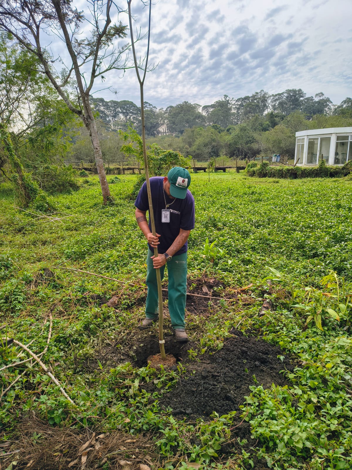 A imagem mostra um funcionário uniformizado realizando o plantio de uma muda em uma área verde, possivelmente em uma ação de reflorestamento ou recuperação ambiental. Ele utiliza uma enxada para fixar a muda no solo recém-aberto. Ao fundo, observa-se uma construção branca envidraçada e uma vegetação densa, com árvores de médio porte e vegetação rasteira, sugerindo um espaço preservado ou em processo de restauração ecológica.  Essa ação pode estar relacionada a programas ambientais da Prefeitura de São Paulo, como os promovidos no âmbito do Junho Verde ou do Plano de Reflorestamento Municipal.