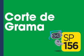 Imagem com fundo verde e faixa vertical azul-marinho à esquerda. O texto 